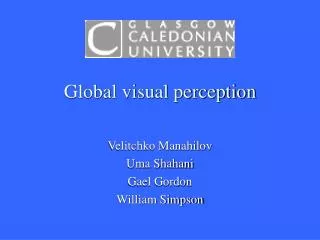 Global visual perception