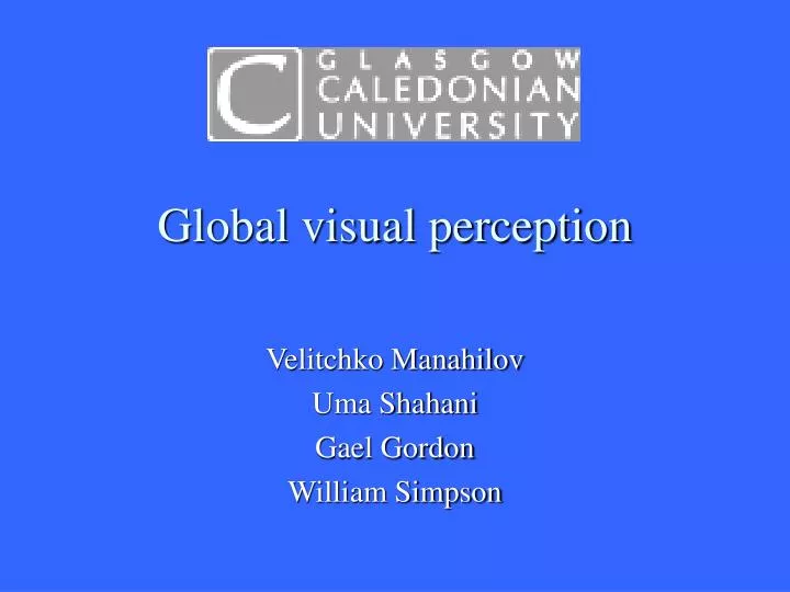 global visual perception