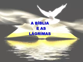 a b blia e as l grimas