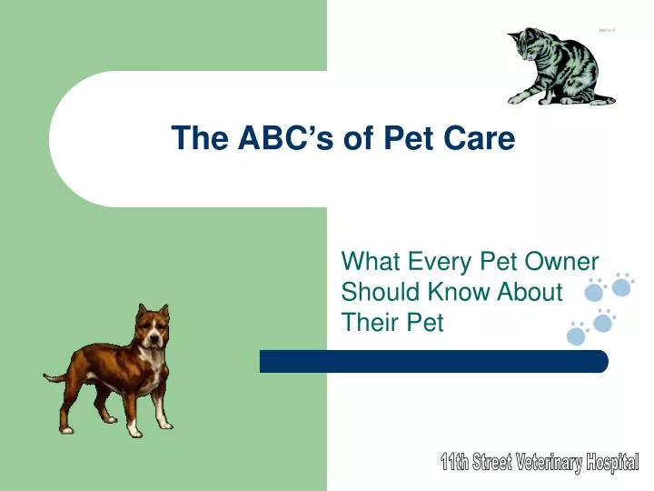 the abc s of pet care