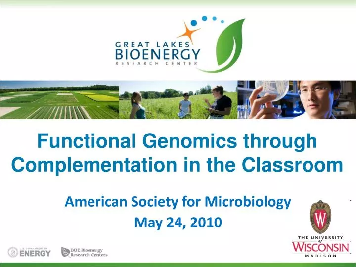 functional genomics through complementation in the classroom