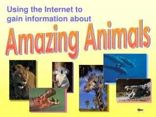 Using the Internet to gain information about