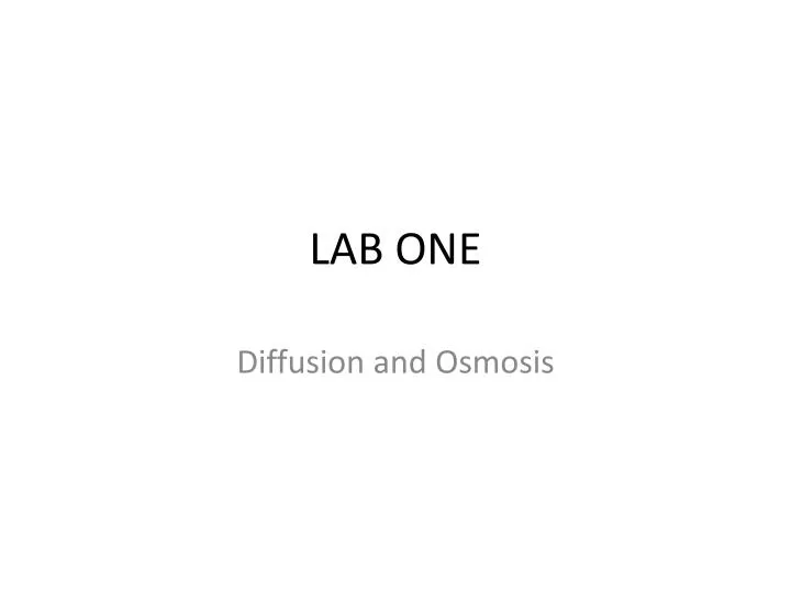 lab one