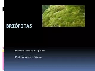 brio musgo fito planta prof alexsandra ribeiro