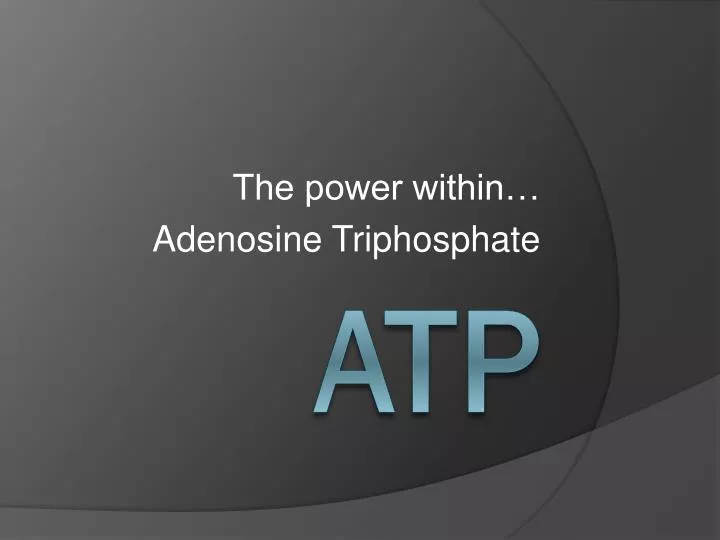 the power within adenosine triphosphate