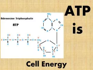 ATP is