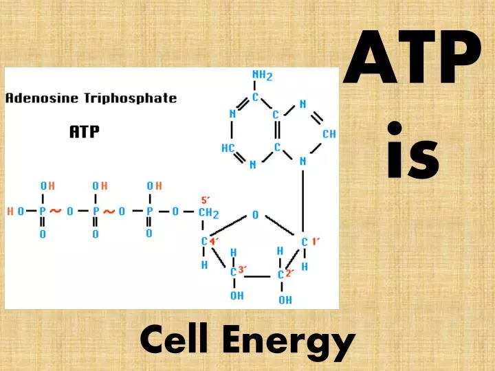 atp is