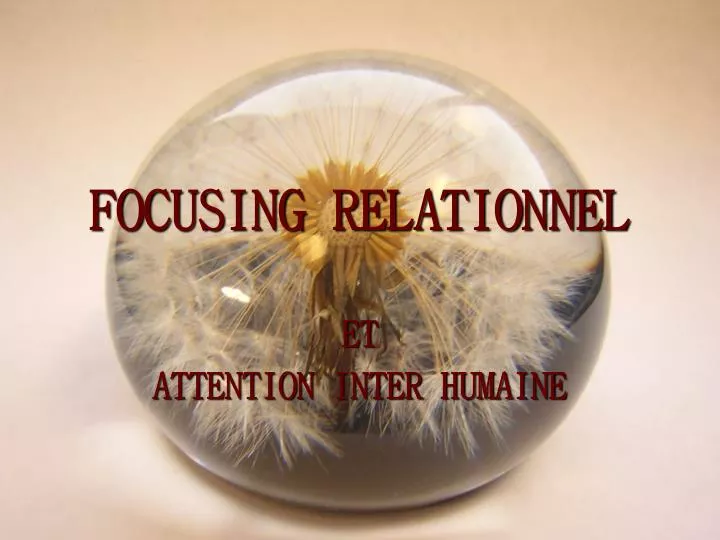 focusing relationnel