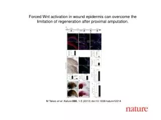 M Takeo et al. Nature 000 , 1-5 (2013) doi:10.1038/nature12214