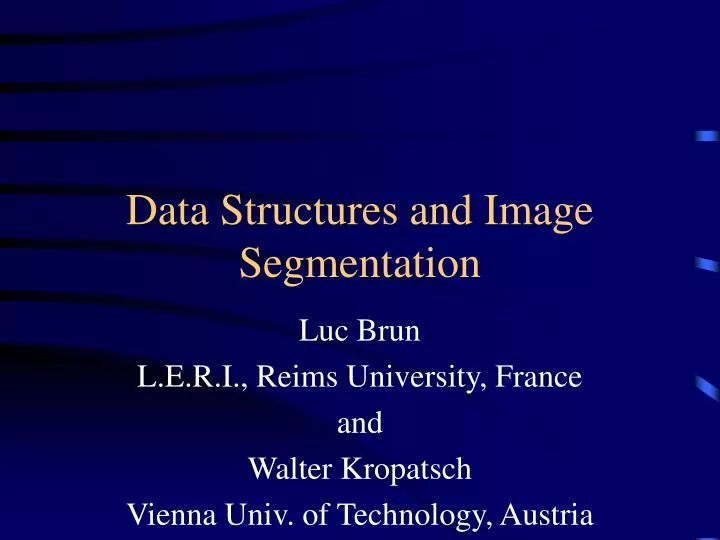 data structures and image segmentation