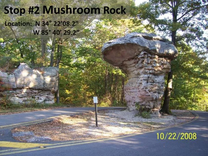 stop 2 mushroom rock