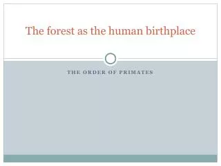 The forest as the human birthplace