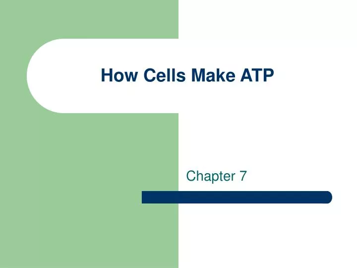 how cells make atp