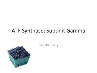 ATP Synthase: Subunit Gamma