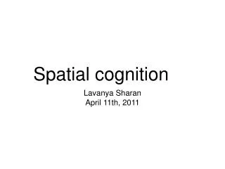 Spatial cognition