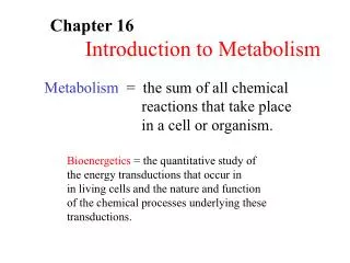 Chapter 16 	Introduction to Metabolism