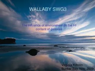 WALLABY SWG3