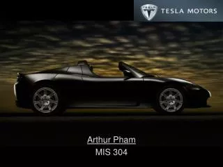 Arthur Pham MIS 304