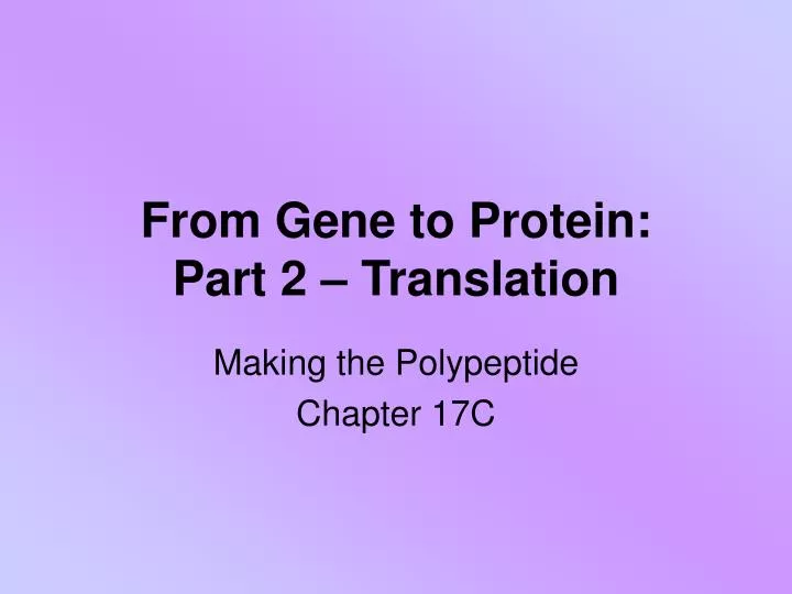 from gene to protein part 2 translation