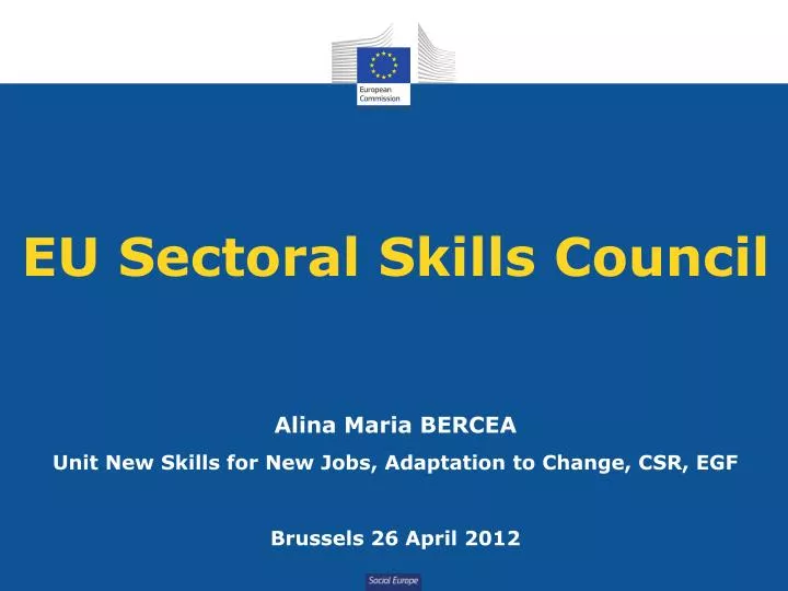 eu sectoral skills council