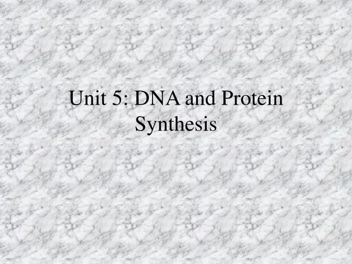 unit 5 dna and protein synthesis