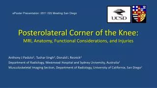 Posterolateral Corner of the Knee: MRI, Anatomy, Functional Considerations, and Injuries