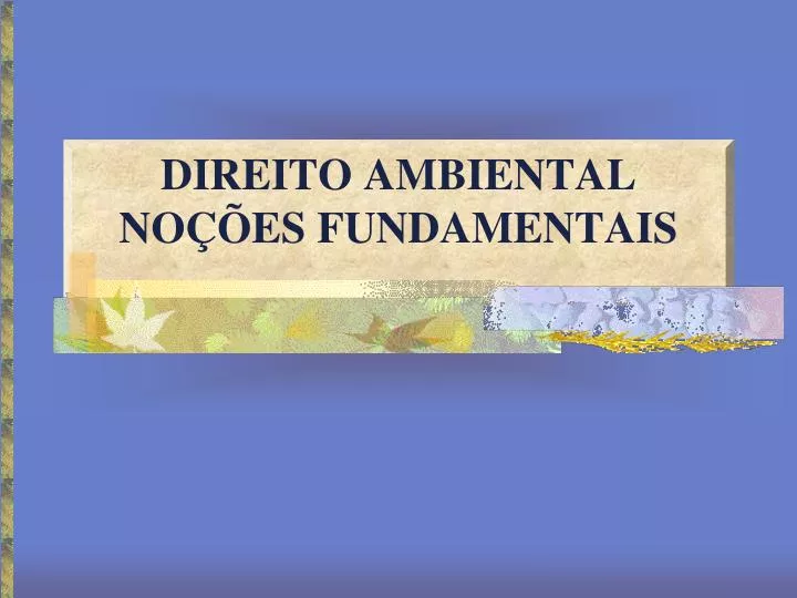 direito ambiental no es fundamentais