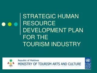 STRATEGIC HUMAN RESOURCE DEVELOPMENT PLAN FOR THE TOURISM INDUSTRY