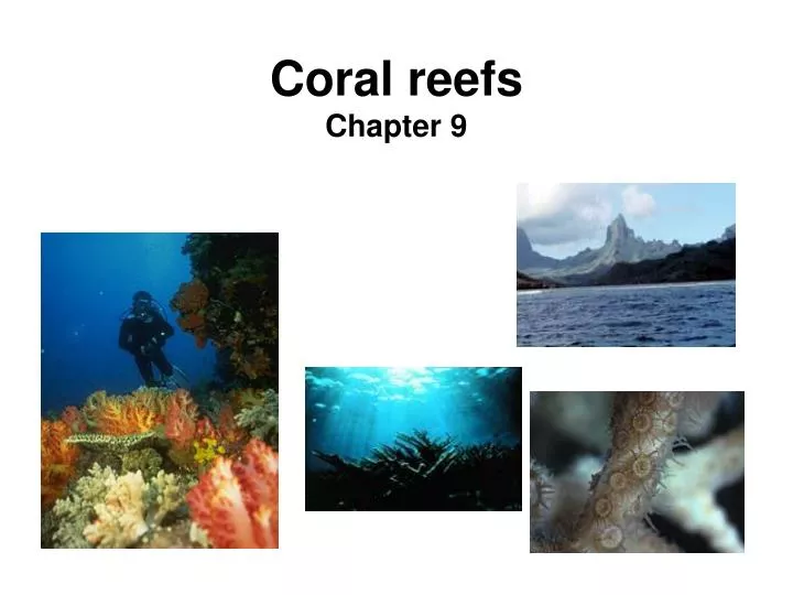 coral reefs chapter 9