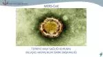 MERS- CoV - slide 1