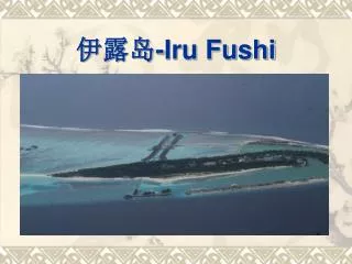 iru fushi
