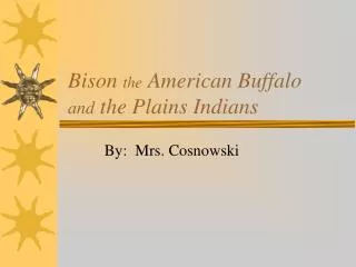 Bison the American Buffalo and the Plains Indians