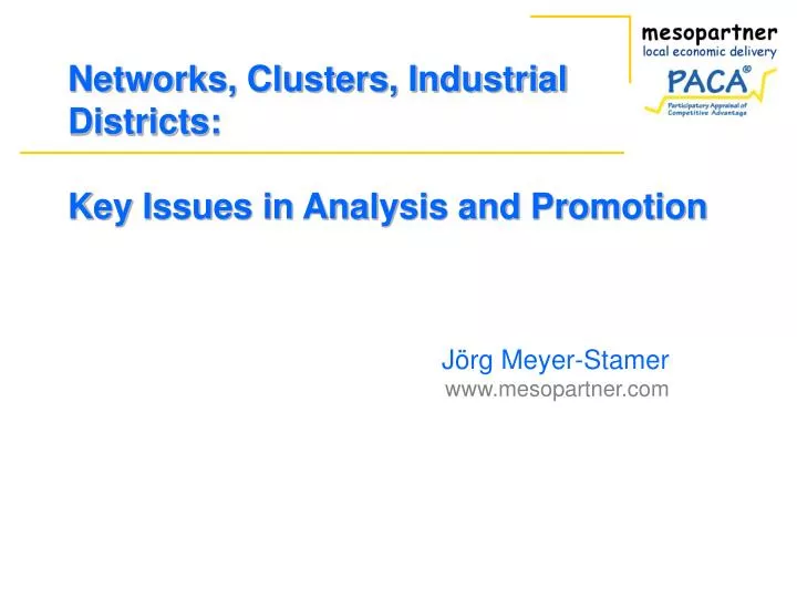 networks clusters industrial districts key issues in analysis and promotion