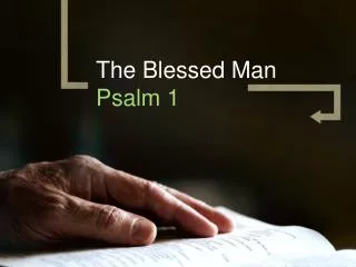 The Blessed Man Psalm 1