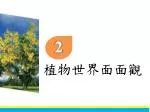 植物世界面面觀 - slide 1