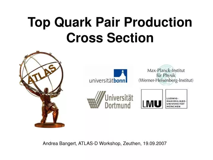 top quark pair production cross section