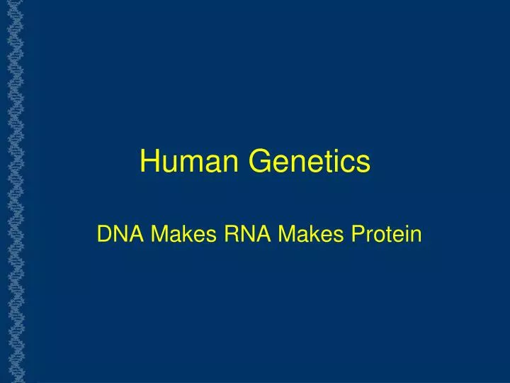 human genetics