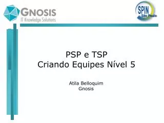 psp e tsp criando equipes n vel 5