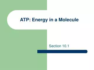 ATP: Energy in a Molecule