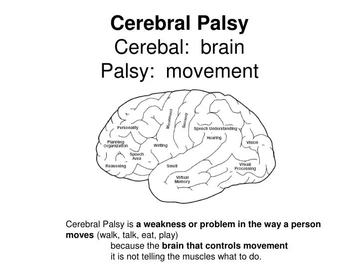 cerebral palsy cerebal brain palsy movement