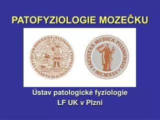 patofyziologie moze ku