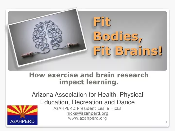 fit bodies fit brains