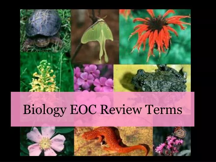 biology eoc review terms