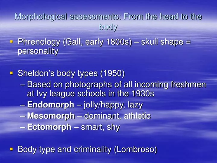 morphological assessments from the head to the body
