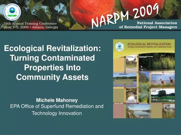 ecological revitalization turning contaminated properties into community assets