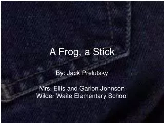 A Frog, a Stick