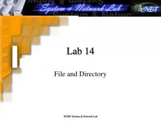 Lab 14