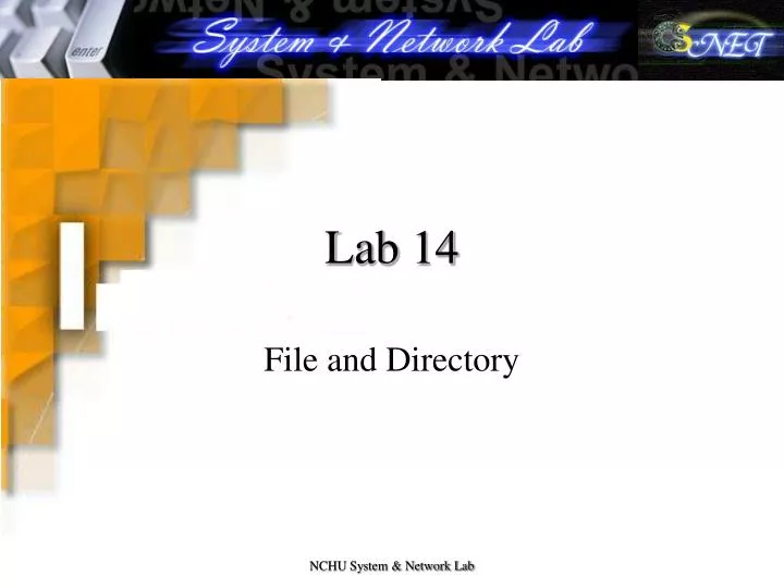 lab 14