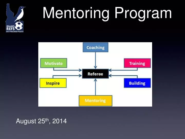 mentoring program