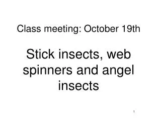Class meeting: October 19th Stick insects, web spinners and angel insects